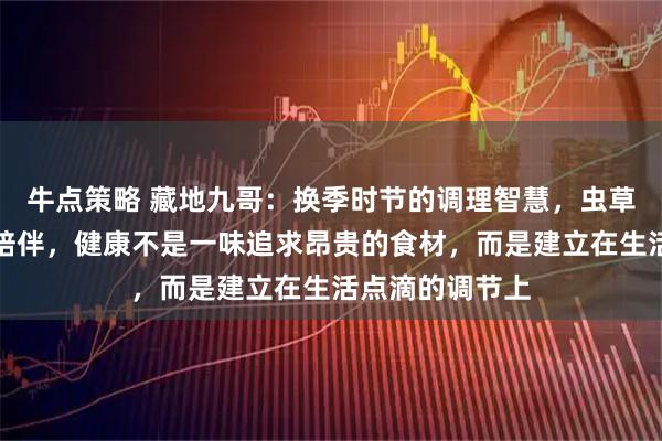 牛点策略 藏地九哥：换季时节的调理智慧，虫草与生活的温暖陪伴，健康不是一味追求昂贵的食材，而是建立在生活点滴的调节上
