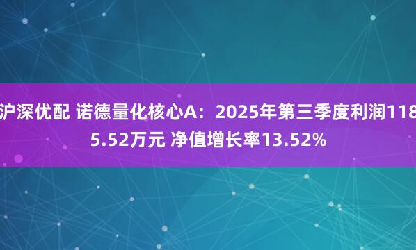 沪深优配 诺德量化核心A：2025年第三季度利润1185.52万元 净值增长率13.52%