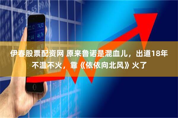 伊春股票配资网 原来鲁诺是混血儿，出道18年不温不火，靠《依依向北风》火了