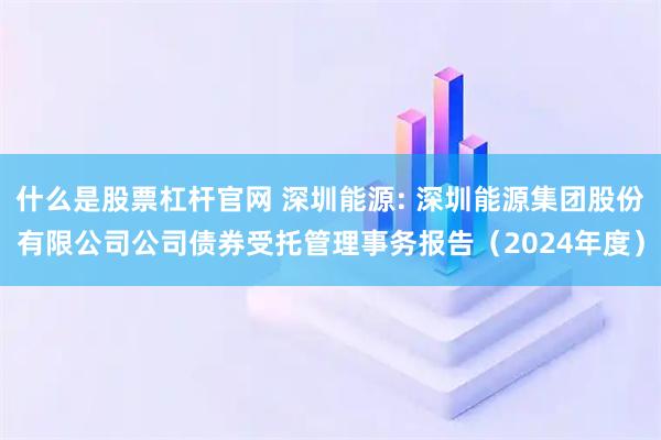 什么是股票杠杆官网 深圳能源: 深圳能源集团股份有限公司公司债券受托管理事务报告（2024年度）