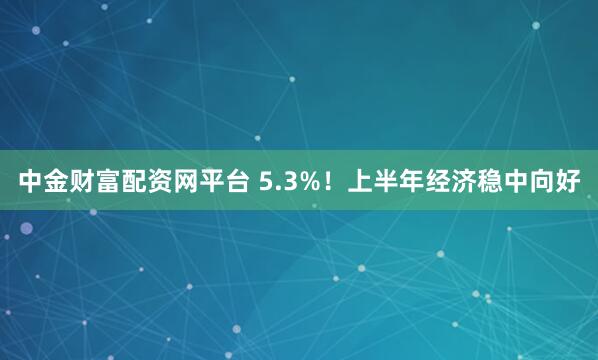 中金财富配资网平台 5.3%！上半年经济稳中向好