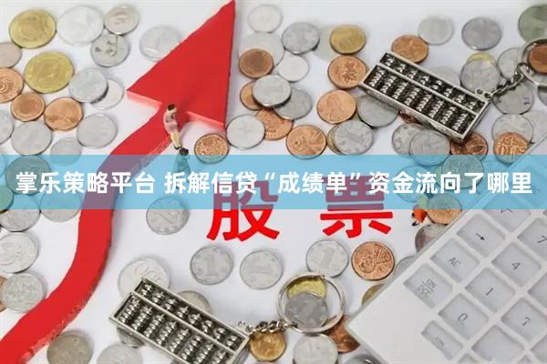 掌乐策略平台 拆解信贷“成绩单”资金流向了哪里
